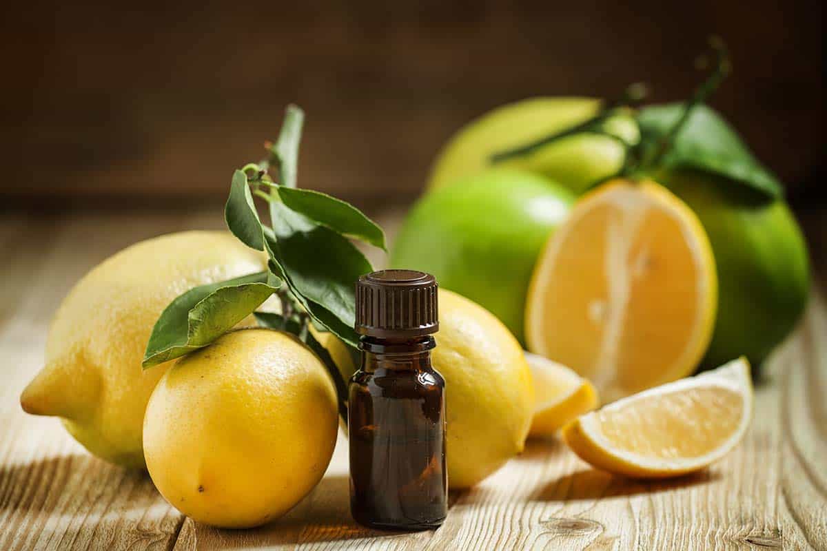 lemons and essential lemon oil bottle