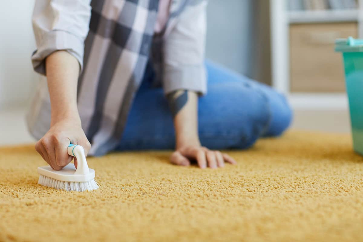 How to Get Blood out of Carpet